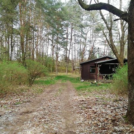 Villa Przystan U Zosi Drawsko  Esterno foto