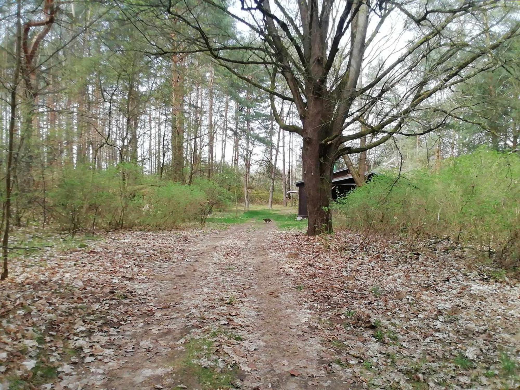 Villa Przystan U Zosi Drawsko  Esterno foto